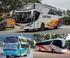 Ini 3 PO Bus yang Punya...