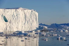Gletser Greenland Mencair...