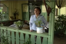 Aminah Cendrakasih Pemeran...
