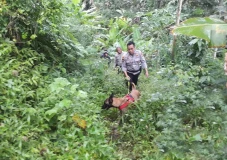 Polisi Kerahkan Anjing...
