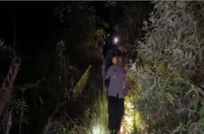 Polisi Temukan Puluhan...