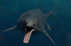 Ichthyosaurus, Monster...