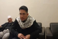 Pemilu 2024, Partai...