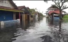 Ribuan Rumah di Pekalongan...