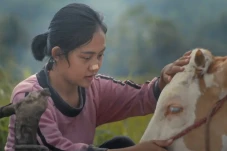 Perempuan Bisakah Sukses...