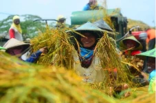 Jaga Cadangan Beras,...