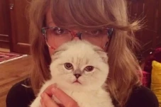 Kekayaan Kucing Taylor...