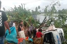 Pikap Angkut Hasil Laut...