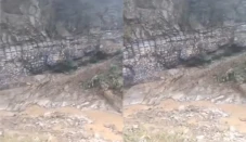 Batuan Berstruktur Buaya...