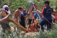Sapi Seberat 1 Ton Hilang,...
