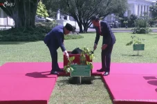 Momen Jokowi Bersama...
