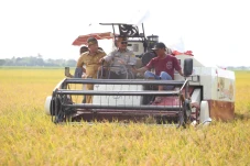 Panen Raya 16.000 Ton...