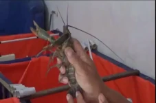 Sulap Ruang Tamu Jadi...