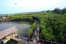 Gandeng Komunitas Mangrove...