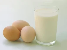Mengenal Manfaat Telur...