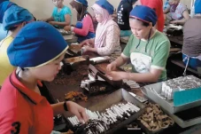 Tidak Mendesak, Pekerja...