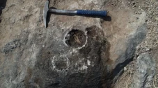 Ahli Paleontologi Temukan...