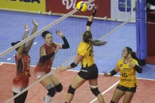Hasil Proliga 2023:...