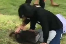 ABG Perempuan Pengunjung...