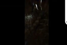 Warga Tangkap Ular Piton...