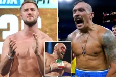 Otto Wallin Beri Usyk...