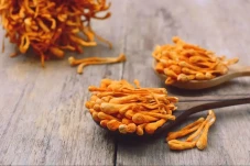 Mengenal Jamur Cordyceps...
