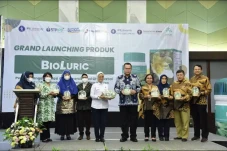 Obat Herbal untuk Asam...