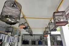 Unik! Ada Sekolah Khusus...