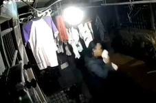 Maling Bra Resahkan...