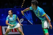 Daftar Pemain Indonesia...