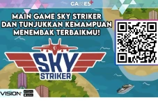 Main Game Sky Striker...