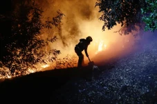 Kebakaran Hutan Kepung...