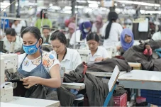 BPS Ungkap Penyebab...