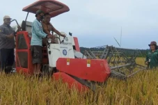Manfaatkan Lahan Tidur,...