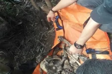 Pergi Sejak 30 September...