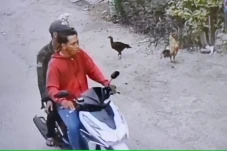 Ini Tampang Pencuri...