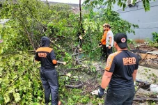 Kota Bogor Diguyur Hujan...