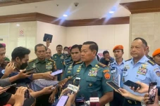Panglima TNI: Bupati...