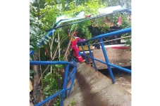 Pohon Tumbang di Cipinang...