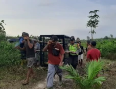 Beruang Liar Serang...