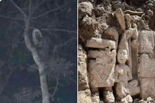 Viral, Foto Makhluk...