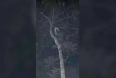 Kunjungi Kampung Suku...