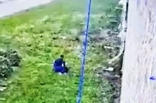 Bak Film Aksi, Bos Mafia...