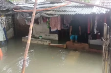 Banjir Rendam Rawa Bokor...