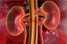 Mengenal Penyakit Hematuria...