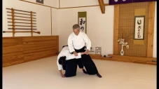 3 Perbedaan Aikido dan...