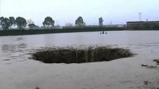 Sedot Puluhan Ton Ikan,...