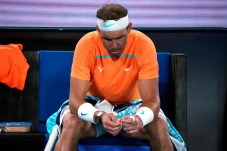 Daniil Medvedev Doakan...