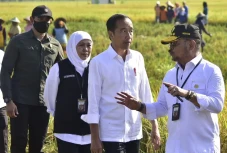 Panen Raya di Ngawi,...