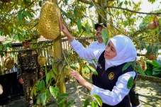 Gubernur Khofifah Dorong...